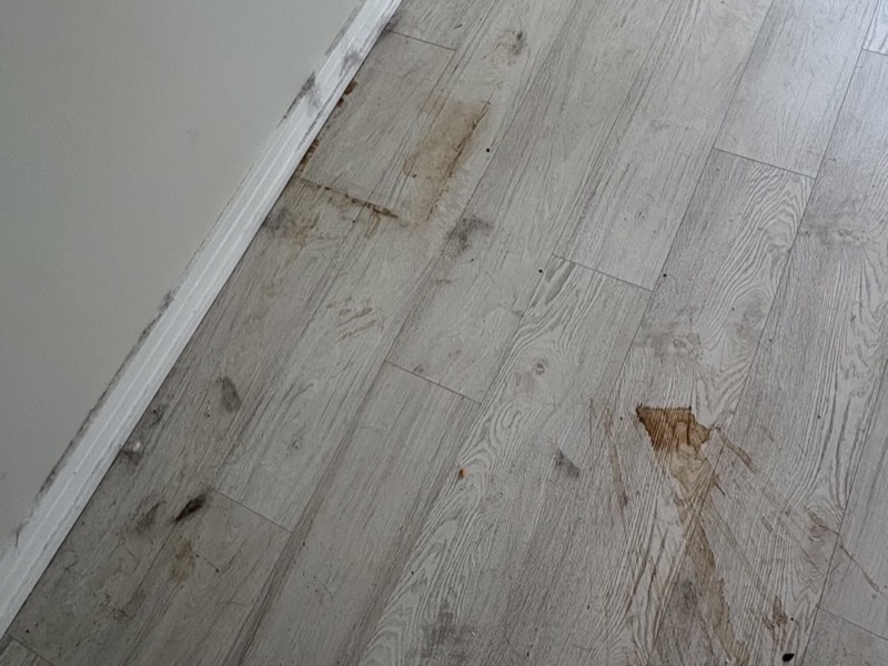 Room before cleaning