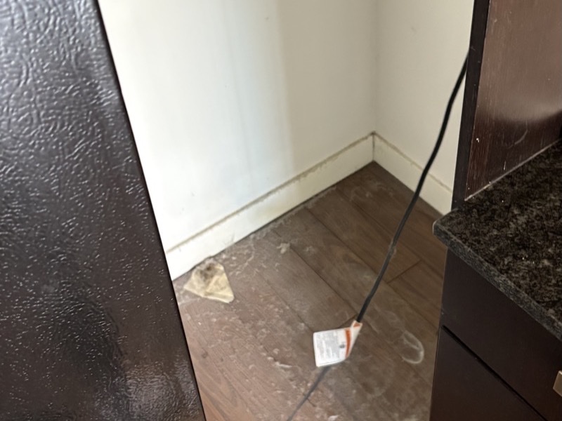 Room before cleaning