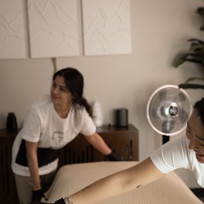 Friendly Pixel Cleaners professional dusting home shelves