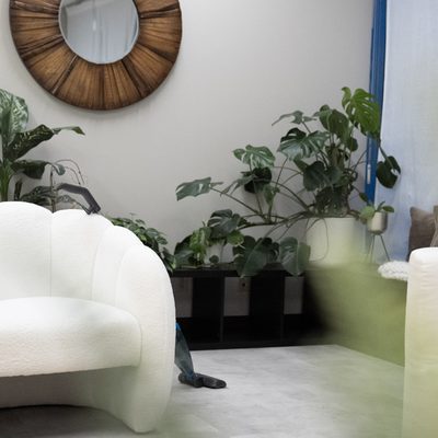 Sparkling clean living room after professional cleaning