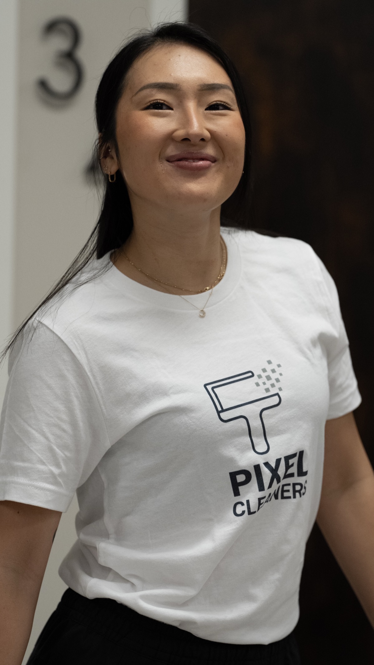 Pixel Cleaners professional cleaner